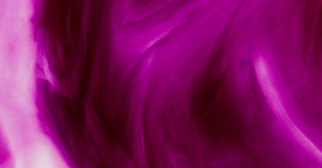 découvrez comment réussir vos boutures de fuchsia pour obtenir des plantes luxuriantes et colorées. nos conseils pratiques vous guideront à travers chaque étape de la propagation pour un jardin éclatant de beauté.