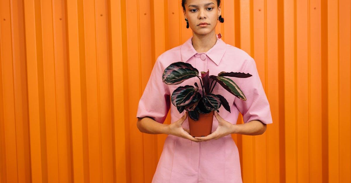 découvrez comment réussir vos boutures de fuchsia avec notre guide complet. apprenez les meilleures techniques pour multiplier cette plante colorée et ajouter une touche vibrante à votre jardin.