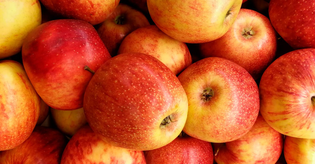 découvrez le gala apple, un événement incontournable où innovation et technologie se rencontrent. assistez aux dernières annonces d'apple, aux nouvelles tendances en matière de design et aux produits révolutionnaires qui redéfinissent notre quotidien. ne manquez pas cette occasion de plonger dans l'univers fascinant d'apple et de ses créations.