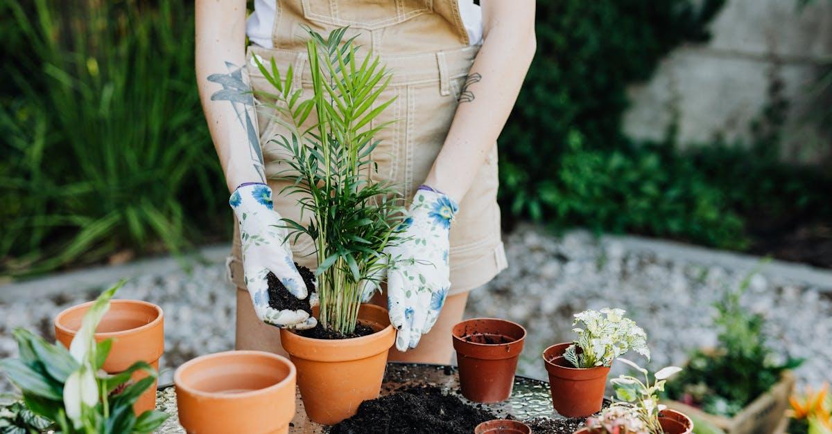assurez la beauté et la santé de votre jardin avec nos services professionnels d'entretien. profitez d'un espace extérieur impeccable grâce à notre expertise en jardinage, taille de haies, nettoyage et soins des plantes.