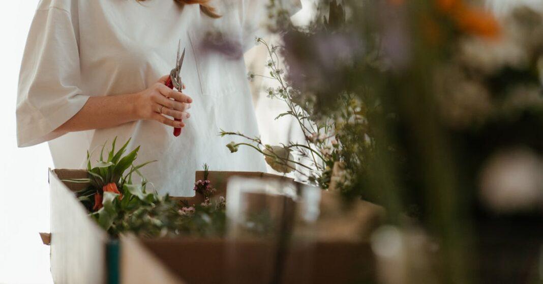 découvrez nos services d'entretien de jardin pour maintenir votre espace vert en parfait état. de la taille des haies à la tonte de la pelouse, nous offrons des solutions sur mesure pour embellir votre jardin tout au long de l'année.