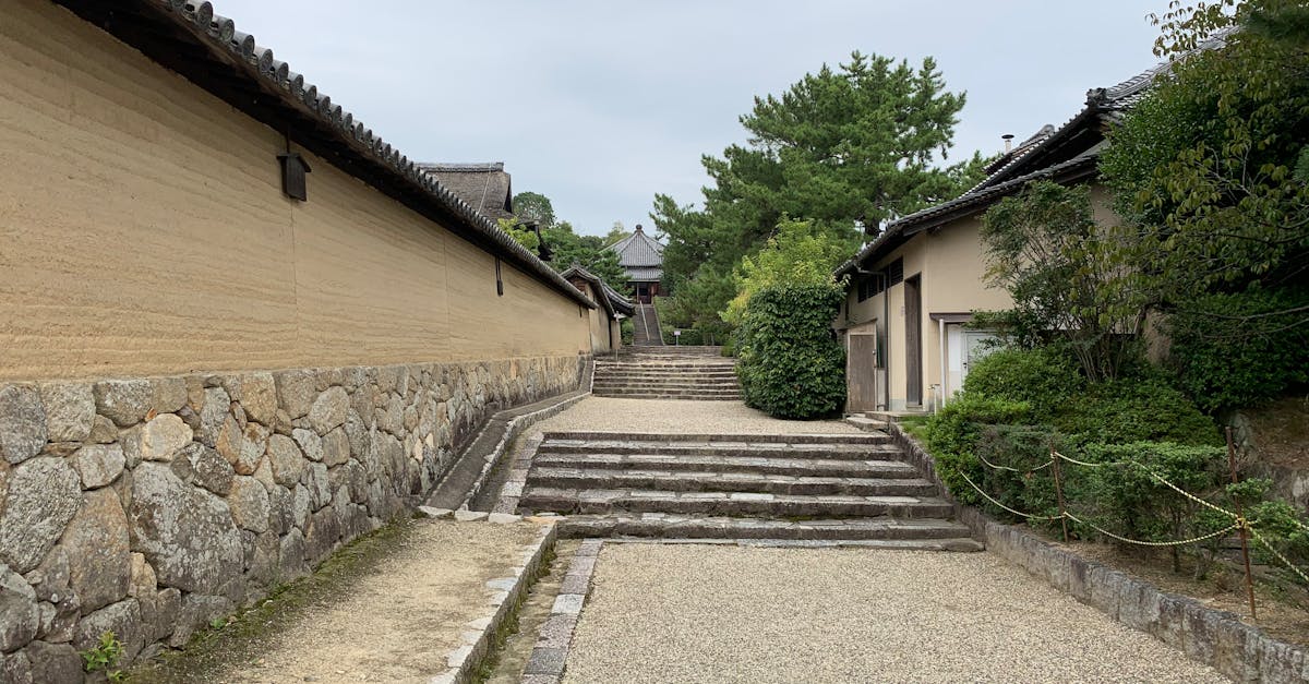 découvrez notre guide complet sur les allées de jardin : inspirations, conseils d'aménagement et matériaux pour embellir votre espace extérieur. transformez votre jardin en un véritable havre de paix avec des chemins harmonieux et accueillants.