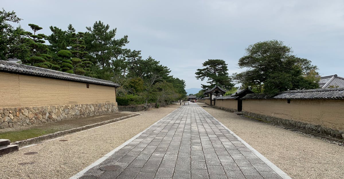 découvrez le chemin de jardin parfait pour embellir votre espace extérieur. transformez votre jardin en un havre de paix avec des allées esthétiques et fonctionnelles qui guideront vos pas à travers la nature.