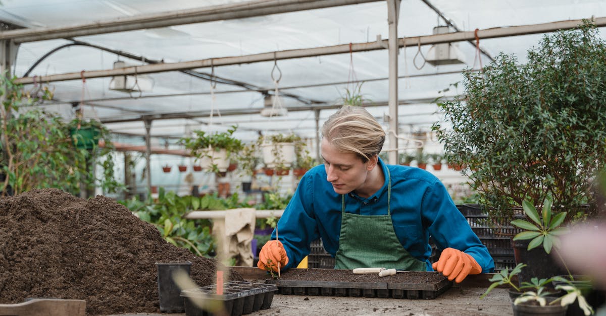 découvrez notre sélection de cabanons de jardin, parfaits pour stocker vos outils de jardinage, vélos et autres équipements. nos abris allient fonctionnalité et esthétique pour enrichir votre espace extérieur.