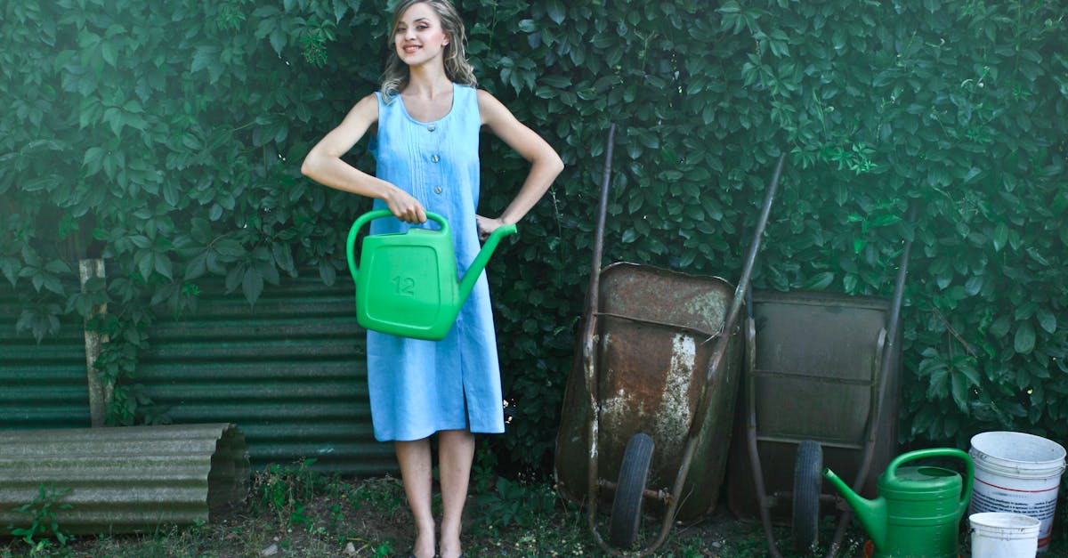 découvrez l'art du jardinage avec nos conseils pratiques, astuces et inspirations pour créer un espace extérieur florissant et harmonieux. que vous soyez novice ou jardinier expérimenté, explorez nos guides pour cultiver vos plantes préférées et embellir votre jardin.