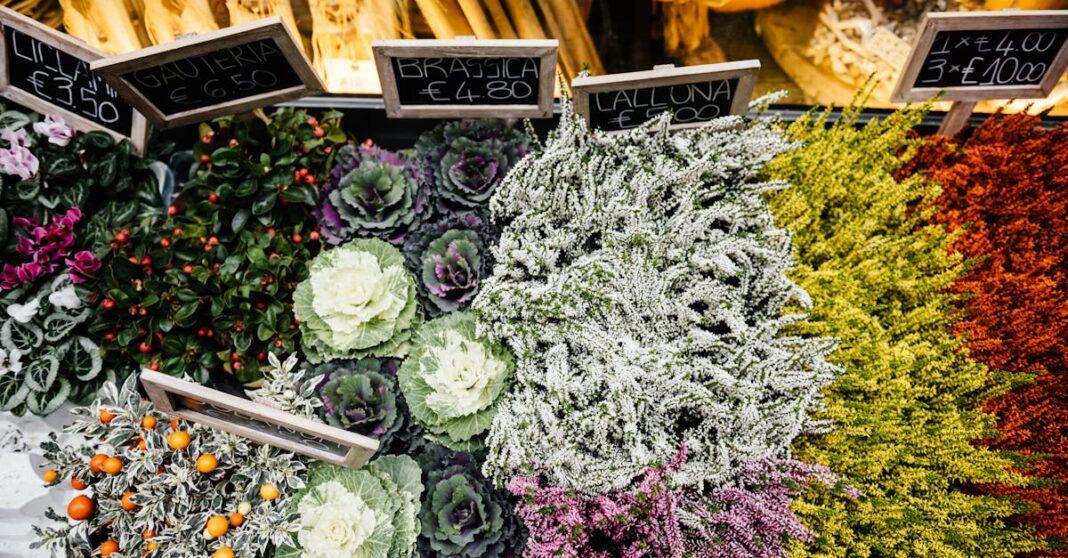 découvrez la gaultheria, une plante vivace aux feuilles persistantes et aux baies décoratives. parfaite pour les jardins ombragés, elle offre une floraison délicate et un feuillage attrayant qui enjolivent vos espaces extérieurs tout au long de l'année.