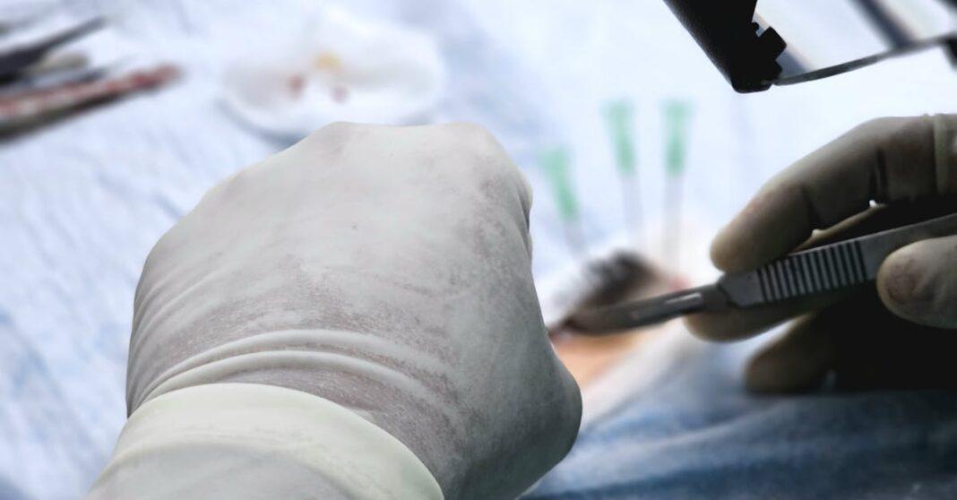 découvrez l'art du greffage : une technique horticole fascinante qui permet d'unir deux plantes pour créer de nouvelles variétés. apprenez les méthodes, les avantages et les conseils pour réussir vos greffages et améliorer votre jardin.