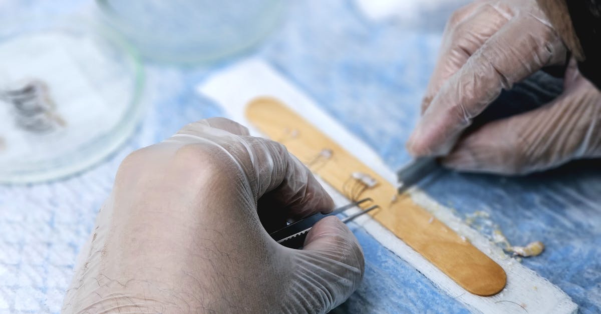 découvrez l'art de la greffe, une technique horticole fascinante qui permet d'unir différentes plantes pour améliorer leur croissance, leur résistance et leur production. apprenez les méthodes, les avantages et les conseils pratiques pour réussir vos projets de greffage.