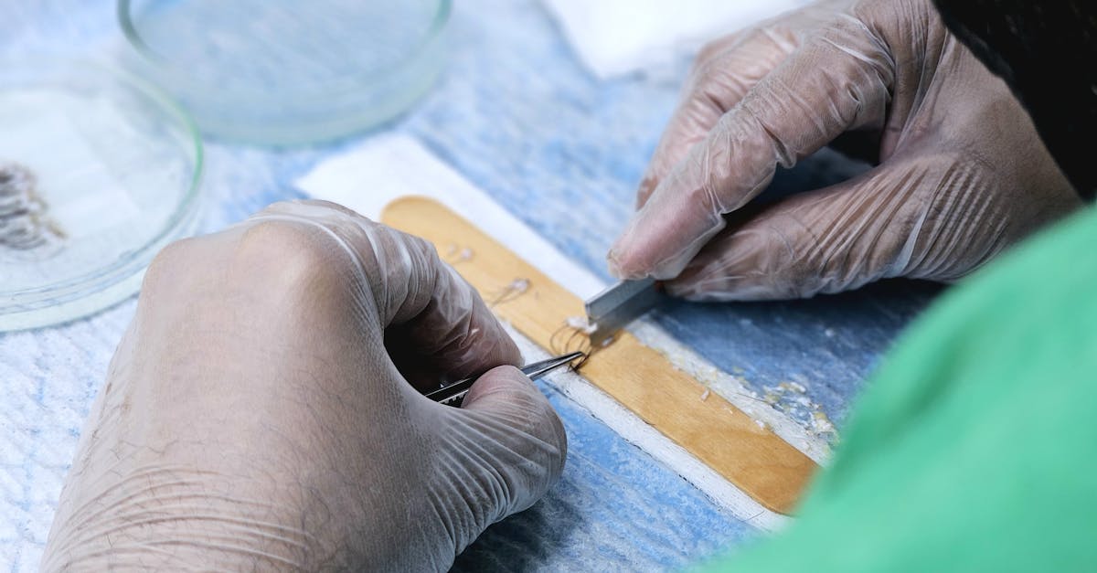 découvrez l'art du greffage, une technique horticole fascinante qui permet d'unir deux plantes pour créer de nouvelles variétés. apprenez les meilleures pratiques et conseils pour réussir vos greffes et optimiser la croissance de vos jardins.