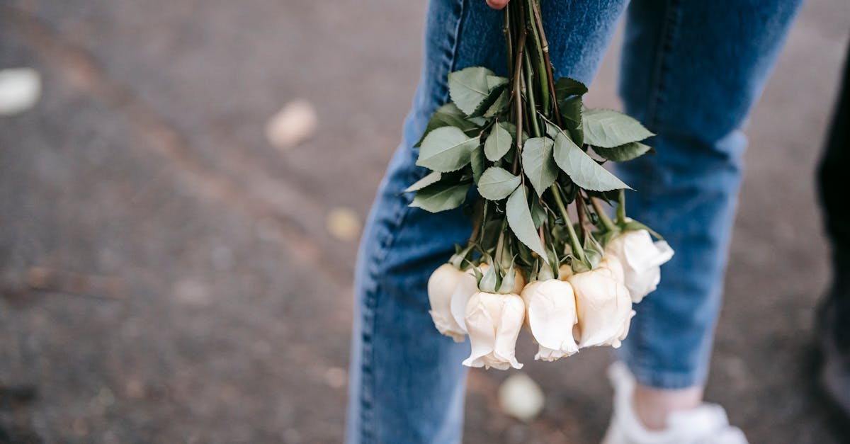 découvrez green alley, votre destination idéale pour des solutions durables et innovantes. explorez des produits écoresponsables qui allient esthétique et respect de l'environnement. rejoignez-nous dans notre mission pour un avenir plus vert et sain.