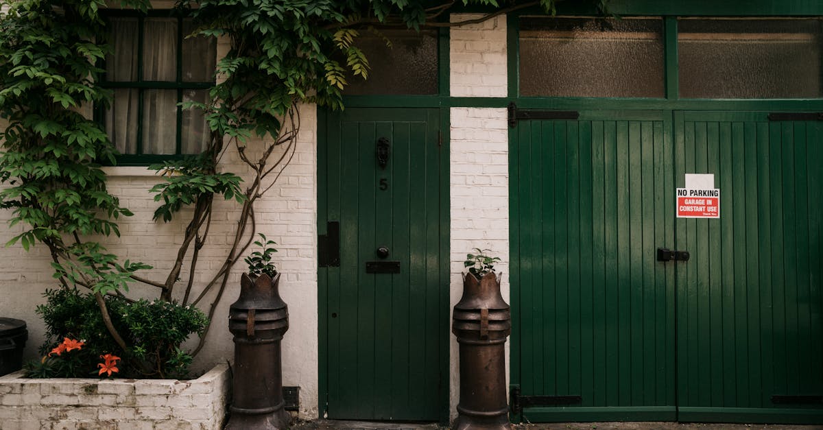 découvrez green alley, un espace verdoyant et inspirant au cœur de la ville, où nature et urbanité se rencontrent. profitez d'activités en plein air, de jardins partagés et d'événements écoresponsables pour une expérience unique et durable.