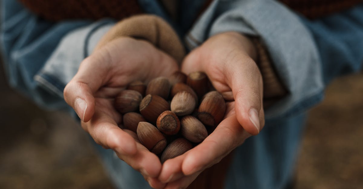 découvrez le monde fascinant de la noisette, un fruit à coque aux saveurs riches et délicieuses. explorez ses bienfaits nutritionnels, ses utilisations en cuisine et ses variétés pour rehausser vos plats sucrés et salés.
