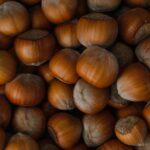 Découverte du noisetier : conseils pratiques pour sa culture, sa taille et sa plantation découvrez l'univers de la noisette : ses bienfaits, ses utilisations en cuisine et ses délicieuses recettes. apprenez à intégrer cet ingrédient savoureux et nutritif dans votre alimentation au quotidien.