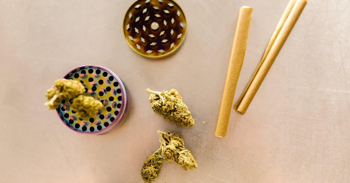 découvrez les bienfaits et les utilisations du chanvre, une plante aux propriétés exceptionnelles, qui fait son chemin dans l'alimentation, la cosmétique et l'écoconstruction. apprenez-en davantage sur cette ressource durable et respectueuse de l'environnement.