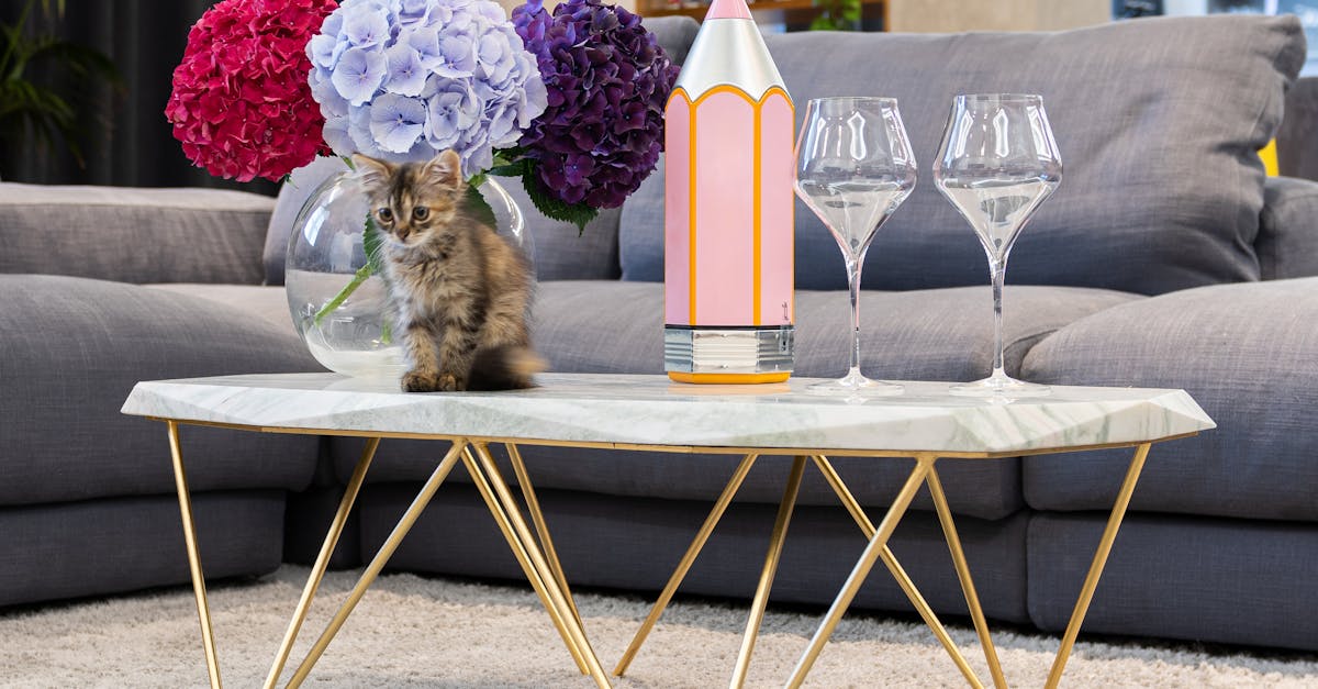 découvrez les hydrangeas, ces magnifiques fleurs emblématiques qui égayent votre jardin avec leur variété de couleurs éclatantes. apprenez à les cultiver et à les entretenir pour un effet spectaculaire tout au long de l'année.