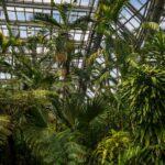 Potager D’Intérieur : Relevez Le Défi Avec Ces 7 Conseils découvrez les bienfaits du jardinage d'intérieur ! apprenez à cultiver vos plantes préférées chez vous, même dans les petits espaces. un guide pratique pour débutants et passionnés.