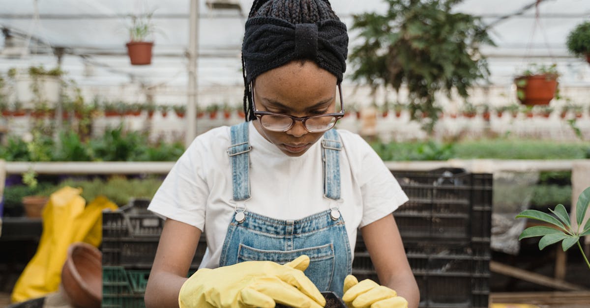 découvrez les meilleures astuces et techniques pour réussir la culture de plantes en intérieur. apprenez à choisir les espèces adaptées, à optimiser l'éclairage et à créer un environnement propice à la croissance de vos plantes d'intérieur.