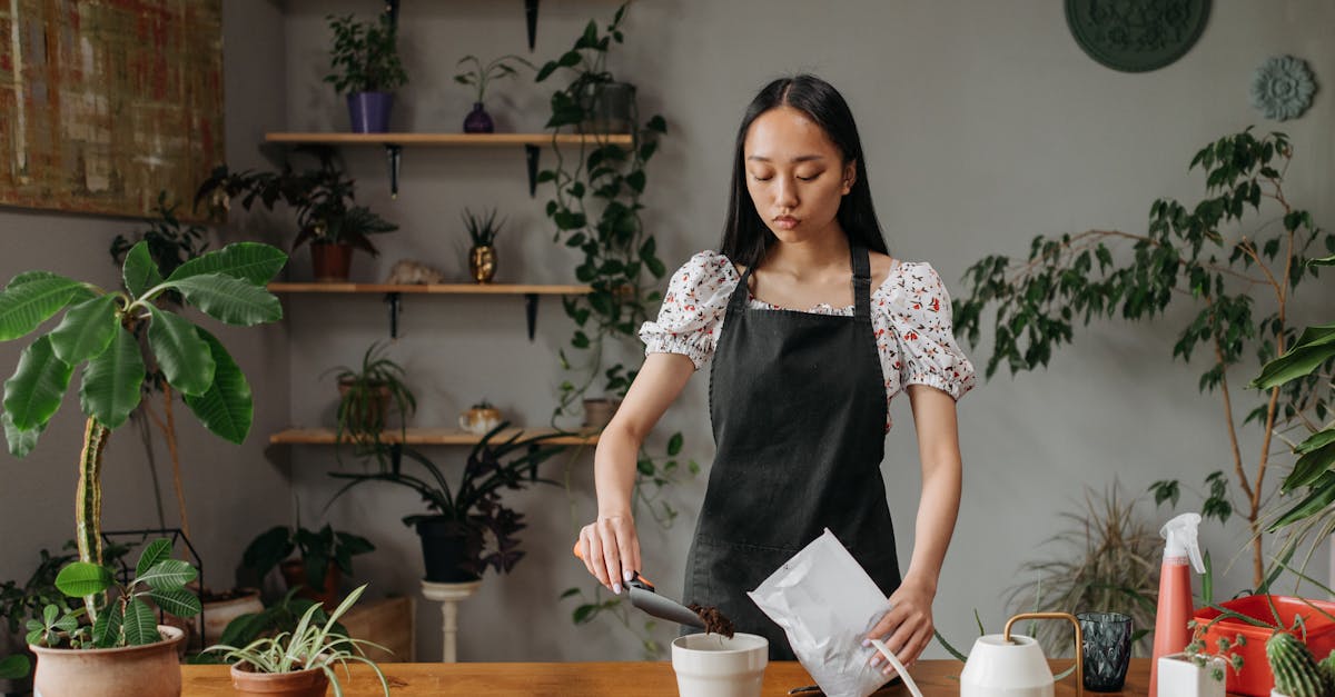 découvrez les meilleures techniques de plantation intérieure pour transformer votre espace en un havre de verdure. conseils pratiques, choix des plantes et astuces d'entretien pour faire prospérer votre jardin intérieur.