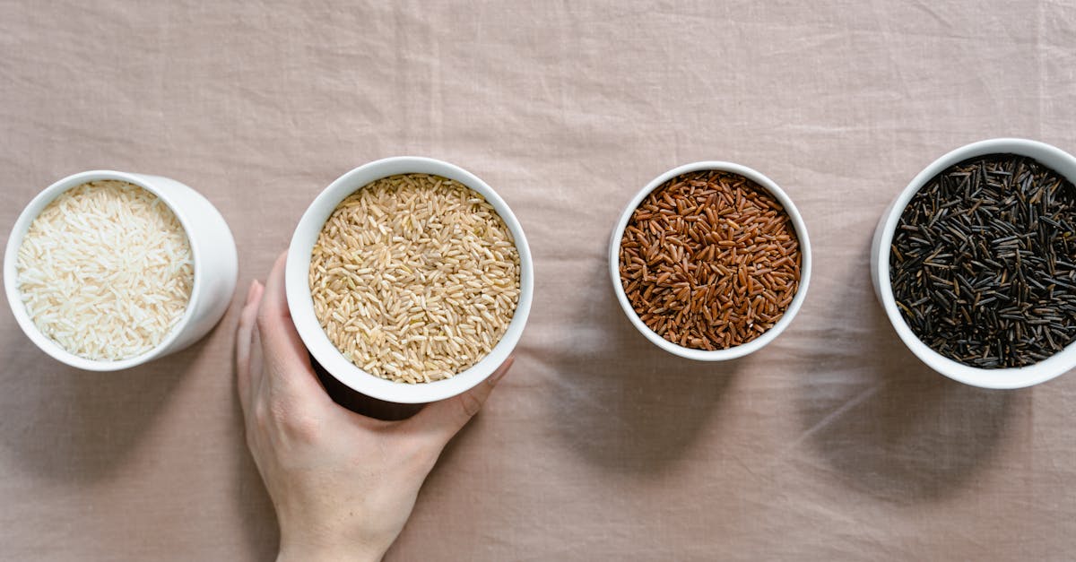 découvrez le jasmin, une plante parfumée aux fleurs délicates, riche en symbolisme et utilisée en parfumerie et en médecine traditionnelle. explorez ses bienfaits et son histoire fascinante.