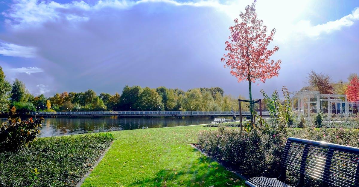 découvrez l'art du landscaping pour transformer vos espaces extérieurs en véritables havres de paix. aménagement de jardins, choix des plantations, création de terrasses et entretien, nos experts vous guideront pour personnaliser votre environnement selon vos envies.