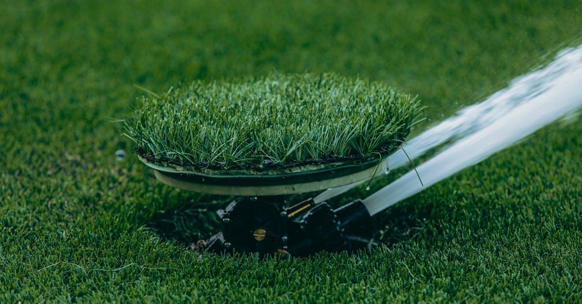 découvrez nos conseils et astuces pour un entretien optimal de votre pelouse. apprenez à choisir les meilleurs produits, à nourrir votre gazon et à lutter contre les mauvaises herbes pour un jardin verdoyant et en pleine santé.