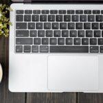 Guide pratique pour semer et repiquer le muguet découvrez la beauté et la signification du muguet, cette fleur délicate au parfum envoûtant, symbole de renouveau et d'amour. plongez dans les traditions et l'histoire qui entourent cette plante célèbre, utilisée pour célébrer la fête du 1er mai en france.