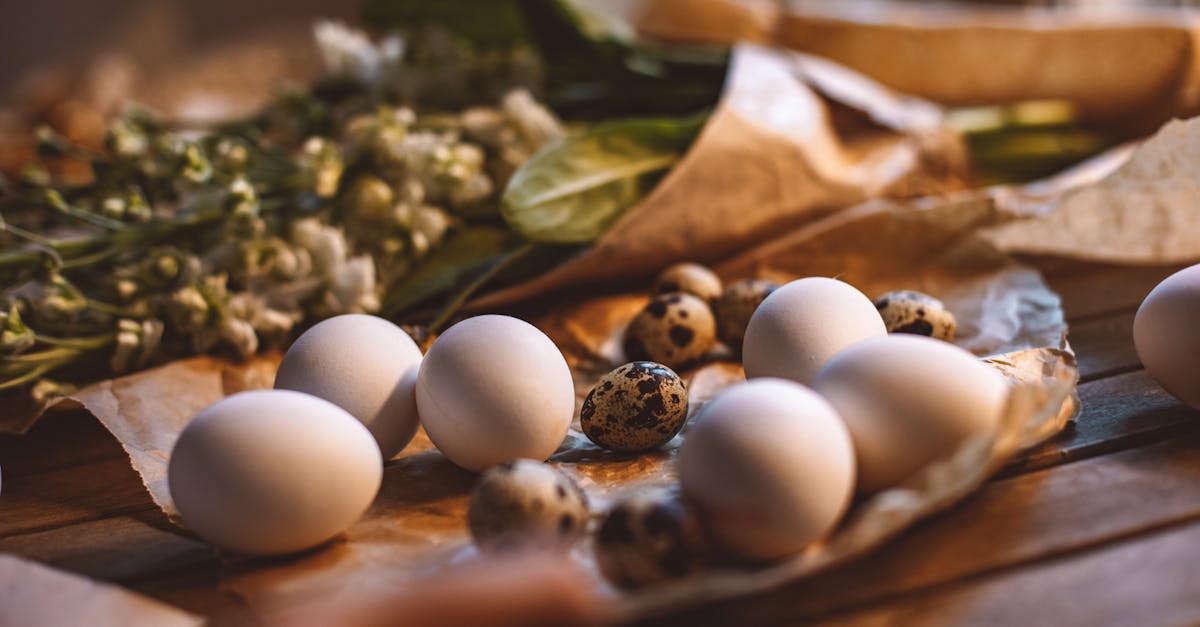 découvrez la beauté et la symbolique du muguet, une fleur délicate souvent associée au bonheur et à la chance. explorez son histoire, ses propriétés et comment l’intégrer dans vos bouquets ou décorations.