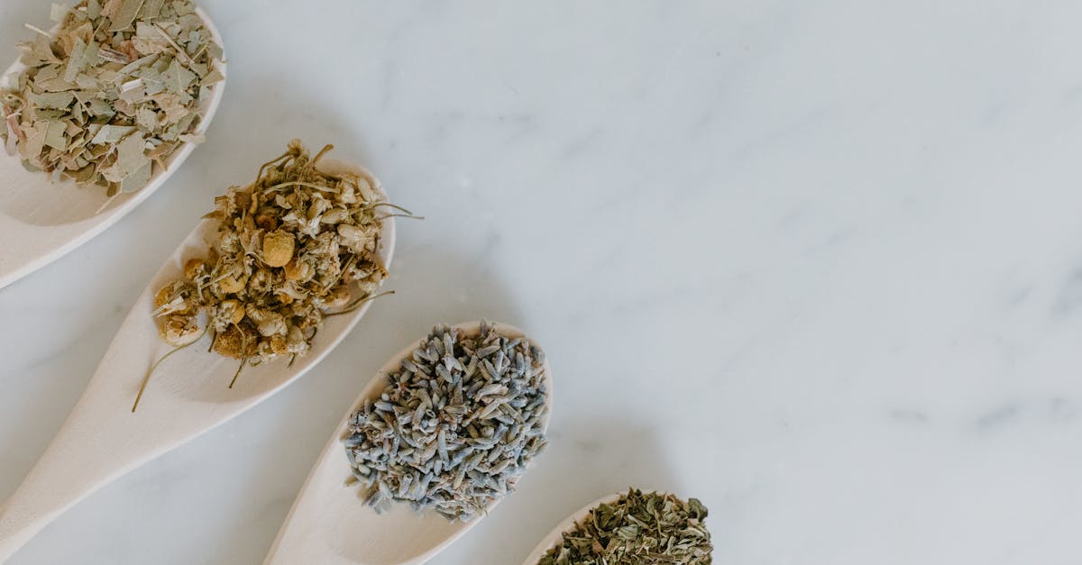 découvrez les bienfaits des plantes médicinales, leurs propriétés de guérison, et comment les utiliser au quotidien pour améliorer votre santé et votre bien-être. explorez un monde naturel riche en vertus thérapeutiques.