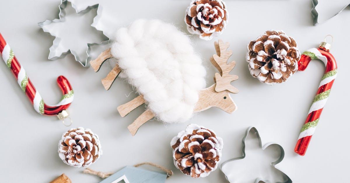 découvrez la beauté exceptionnelle de la medinilla magnifica, une plante d'intérieur spectaculaire avec de grandes feuilles brillantes et des grappes de fleurs roses envoûtantes. parfaite pour apporter une touche exotique à votre décoration, cette plante nécessite peu d'entretien et crée une ambiance tropicale chez vous.