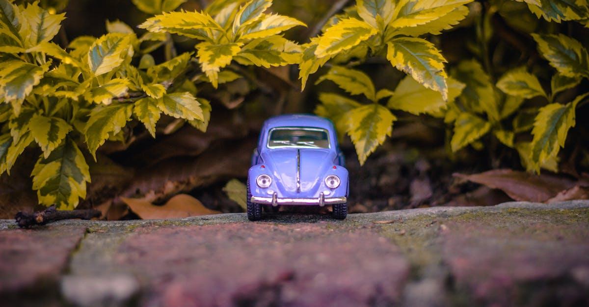 découvrez l'art créatif du jardin miniature, où la nature et l'imagination se rencontrent pour créer des paysages enchanteurs à petite échelle. apprenez à concevoir, planter et entretenir votre propre jardin miniature, une activité relaxante et artistique qui embellira votre espace.