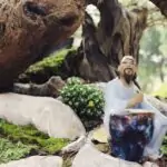 Découvrir le potager miniature : une petite surface pour un maximum de plaisir découvrez l'art des jardins miniatures, une façon fascinante de créer des paysages enchanteurs en petites dimensions. explorez des idées inspirantes, des conseils pratiques et des techniques pour concevoir votre propre oasis miniature.