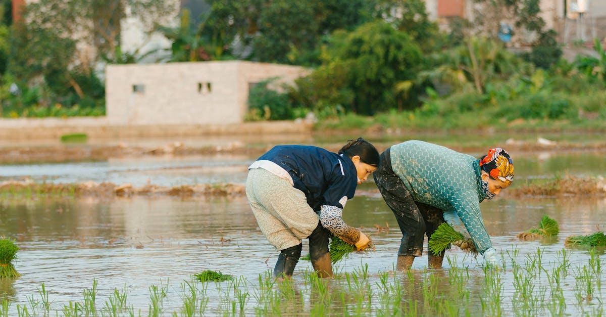 découvrez des méthodes naturelles et efficaces pour améliorer votre santé et votre bien-être au quotidien. des astuces simples et accessibles pour vivre de manière plus saine, sans recours aux produits chimiques.