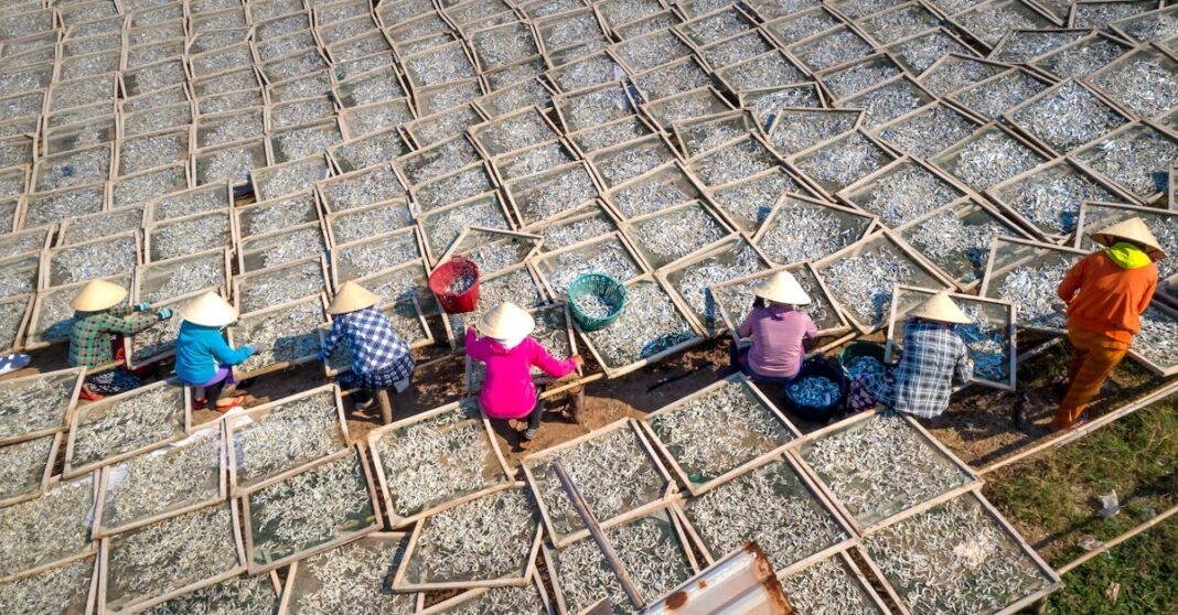 découvrez des méthodes naturelles pour améliorer votre bien-être au quotidien. apprenez à utiliser des remèdes simples et efficaces pour traiter divers maux, renforcer votre santé et vivre en harmonie avec la nature.