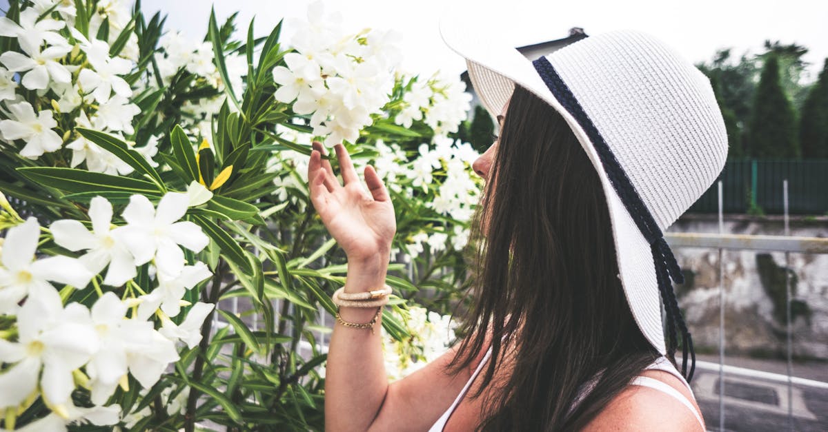 découvrez l'oleander, une plante ornementale magnifique aux fleurs vibrantes et au feuillage luxuriant. apprenez comment l'entretien de cette plante résistante peut transformer votre jardin en un véritable havre de paix, tout en explorant ses caractéristiques, ses variétés et ses multiples utilisations.