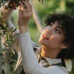 Les secrets pour une récolte d'olives réussie découvrez les secrets de la récolte des olives : une tradition rurale passionnante qui allie savoir-faire ancestral et techniques modernes. plongez dans l'univers de l'olive, de la cueillette à la production d'huile, et savourez les délices de cette précieuse culture méditerranéenne.