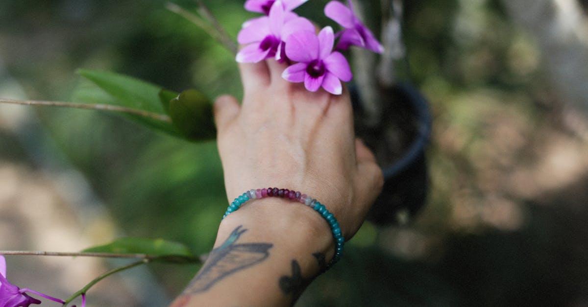 découvrez nos conseils essentiels pour prendre soin de vos orchidées. apprenez à les arroser, à choisir le bon terreau et à assurer leur bonne santé pour profiter pleinement de leur beauté luxuriante.