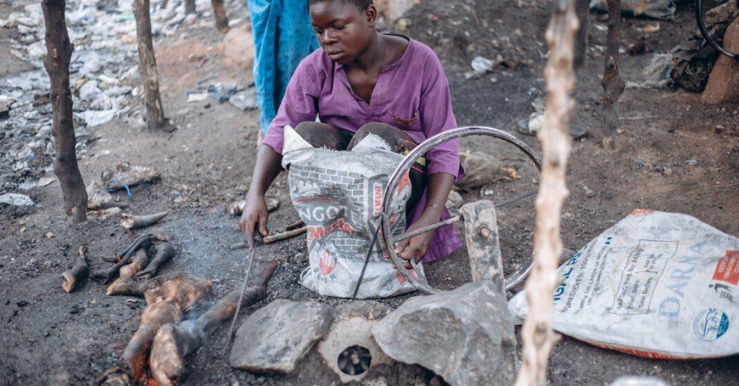 découvrez l'art de la cuisine en plein air avec nos conseils, recettes, et techniques pour préparer de délicieux plats en pleine nature. transformez vos expériences de camping et de pique-nique en véritables festins gourmands !