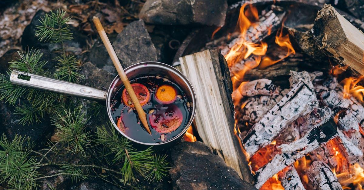 découvrez l'art de la cuisine en plein air avec nos astuces, recettes et équipements essentiels pour des repas savoureux en pleine nature. transformez vos sorties en un festin culinaire inoubliable !
