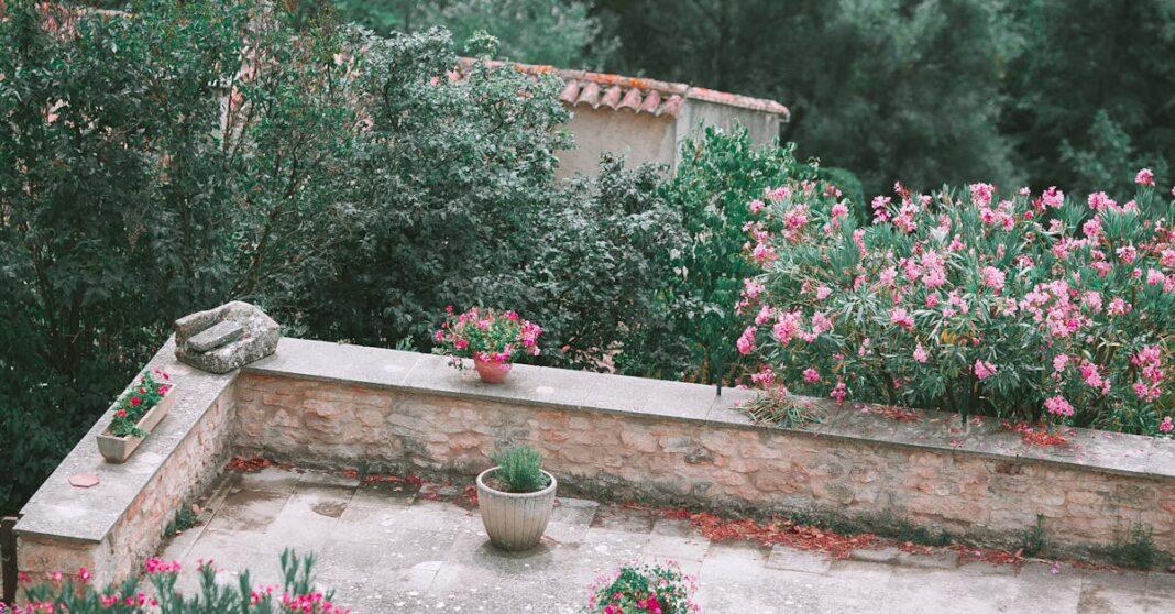 découvrez notre sélection de pots de fleurs d'extérieur, conçus pour embellir votre jardin, terrasse ou balcon. fabriqués avec des matériaux résistants aux intempéries, ces pots sont idéaux pour accueillir vos plantes tout en ajoutant une touche esthétique à votre espace extérieur.