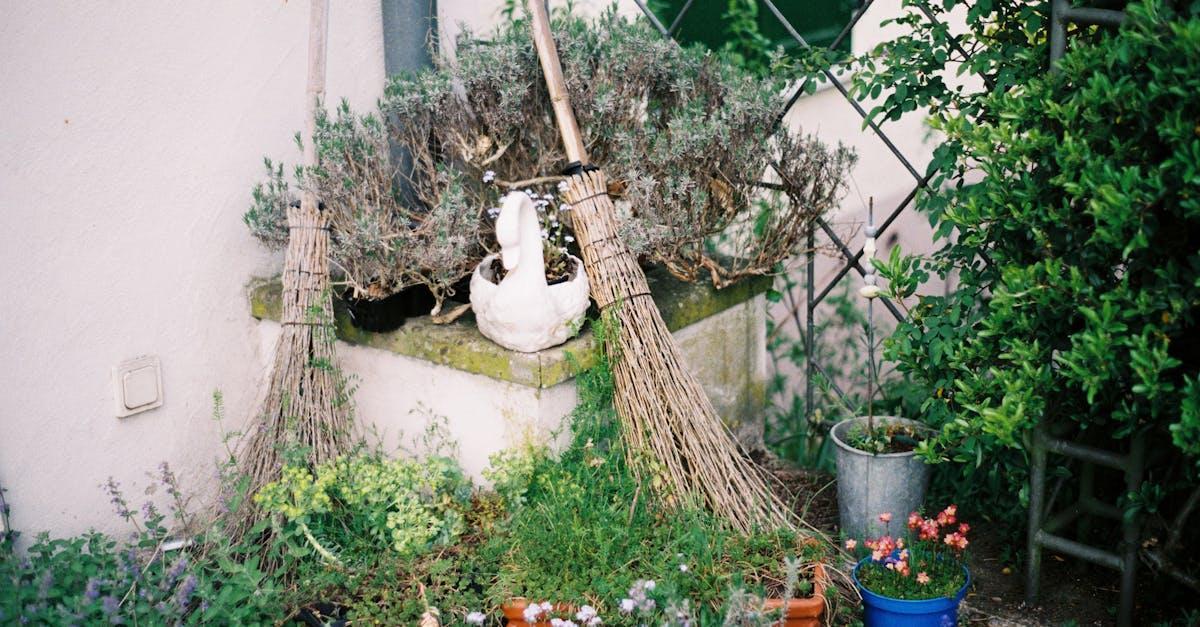 découvrez notre sélection de pots de fleurs d'extérieur, idéaux pour embellir votre jardin ou votre balcon. fabriqués à partir de matériaux durables, ces pots allient style et fonctionnalité pour accueillir vos plantes préférées en toute saison.