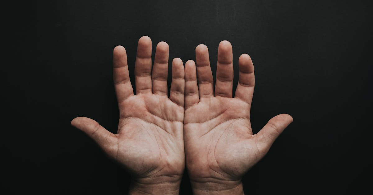 découvrez l'univers fascinant des palmiers : ces plantes majestueuses qui apportent une touche exotique et tropicale à tous vos espaces, qu'il s'agisse de jardins, de terrasses ou d'intérieurs. apprenez leurs variétés, leurs soins et leurs bienfaits.