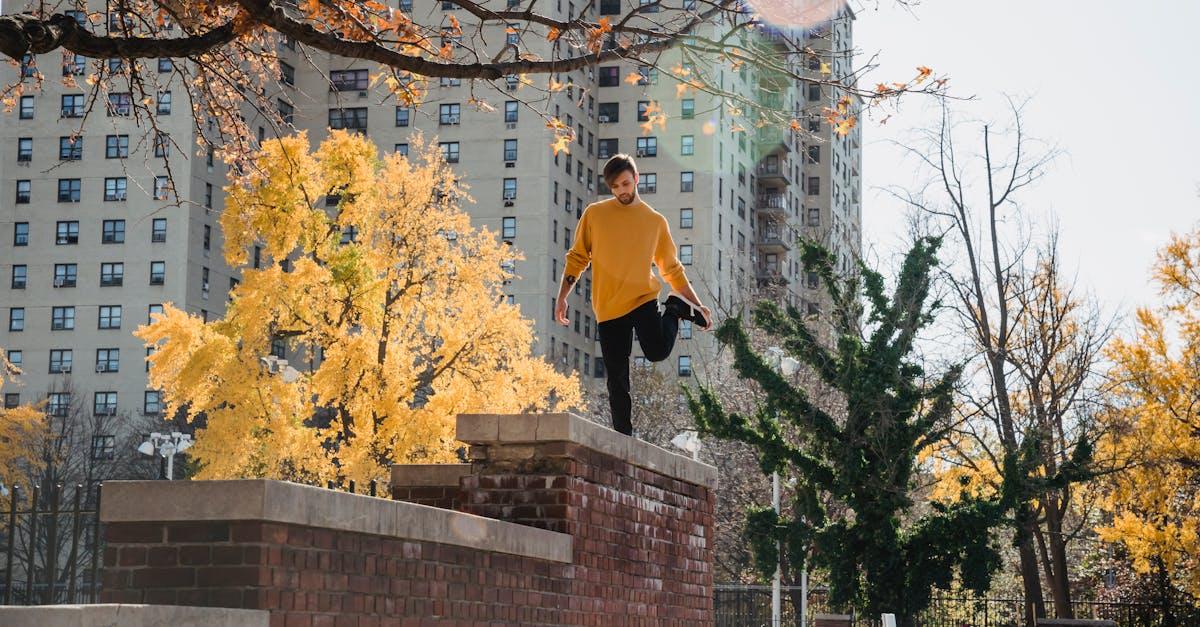 découvrez les meilleures techniques de formation des poiriers pour optimiser votre récolte. apprenez à tailler et à entretenir vos arbres fruitiers afin d'obtenir des fruits savoureux et abondants.