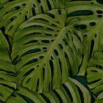 découvrez le philodendron, une plante d'intérieur emblématique, connue pour son feuillage luxueux et sa capacité à purifer l'air. apprenez à l'entretenir et à profiter de ses bienfaits dans votre espace de vie.