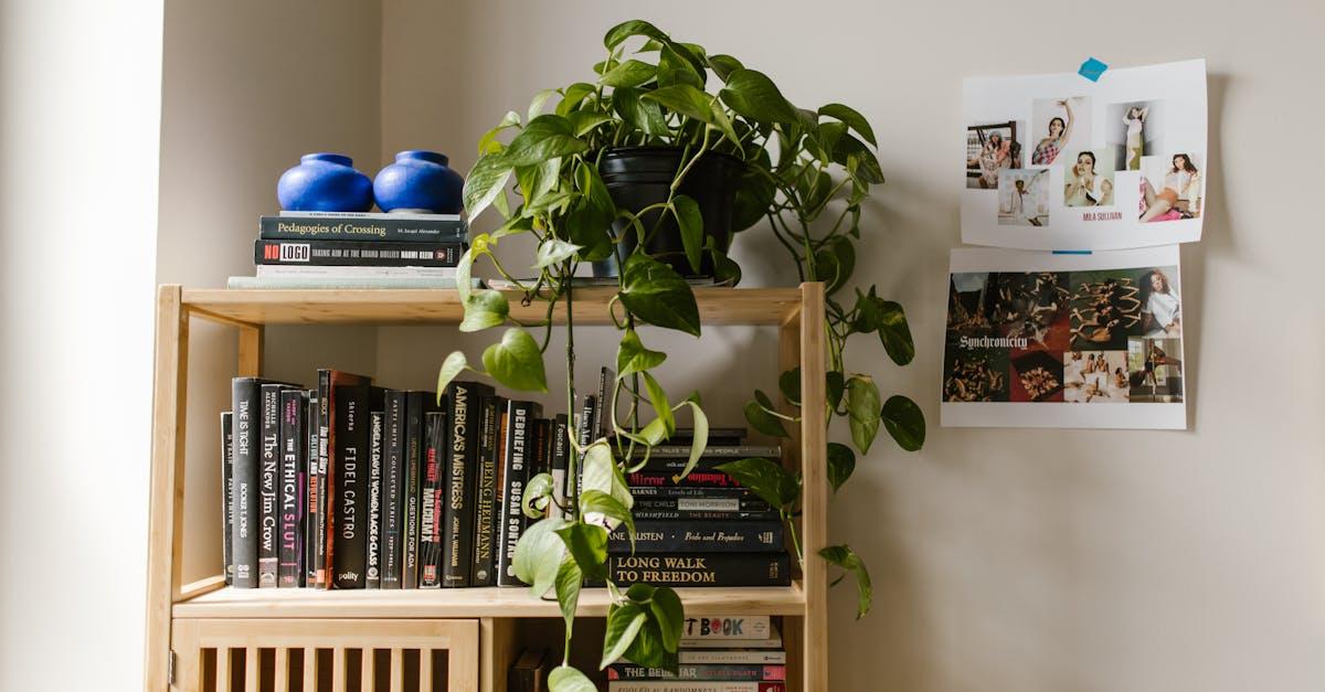découvrez le philodendron, une plante d'intérieur prisée pour son feuillage luxuriant et sa facilité d'entretien. apprenez comment le cultiver et profiter de ses bienfaits tout en apportant une touche de verdure à votre intérieur.