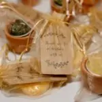 découvrez notre sélection de magnifiques plantes à offrir en cadeau. que ce soit pour un anniversaire, une pendaison de crémaillère ou tout autre événement, nos plantes sont le présent idéal pour apporter une touche de verdure et de douceur à tous les intérieurs.