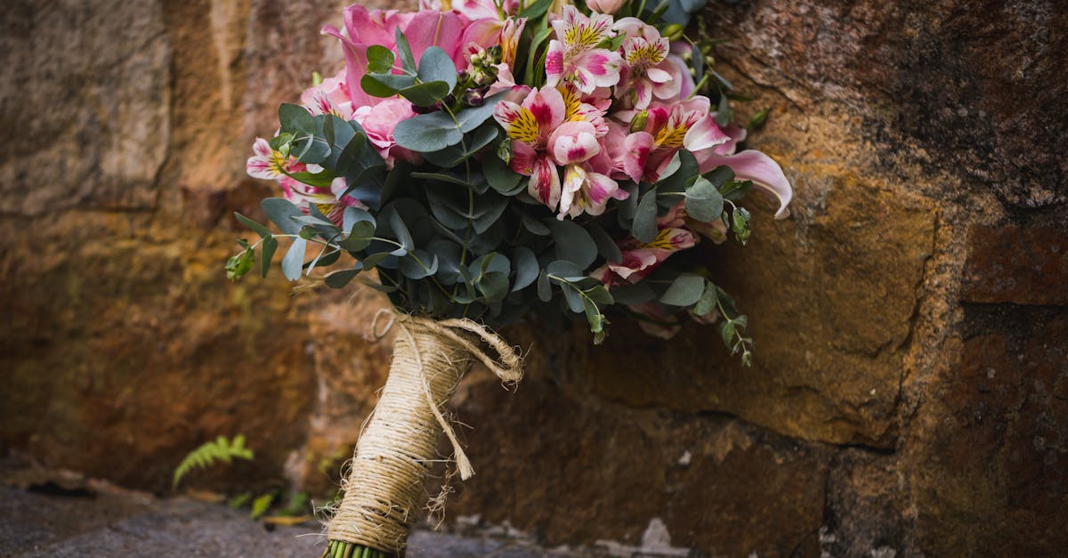 découvrez notre sélection de plantes cadeaux, idéales pour toutes les occasions ! offrez une touche de verdure et de fraîcheur à vos proches avec des plantes qui embellissent leur quotidien.