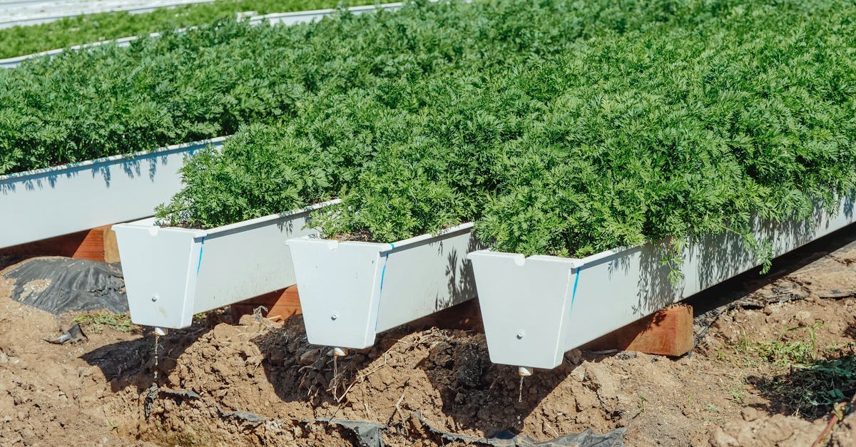 découvrez notre sélection de jardinières et pots de fleurs élégants, parfaits pour embellir votre espace extérieur ou intérieur. que vous soyez un jardinier amateur ou un professionnel, nos planters allient design et fonctionnalité pour mettre en valeur vos plantes. explorez nos créations et trouvez le planter idéal pour votre décoration!