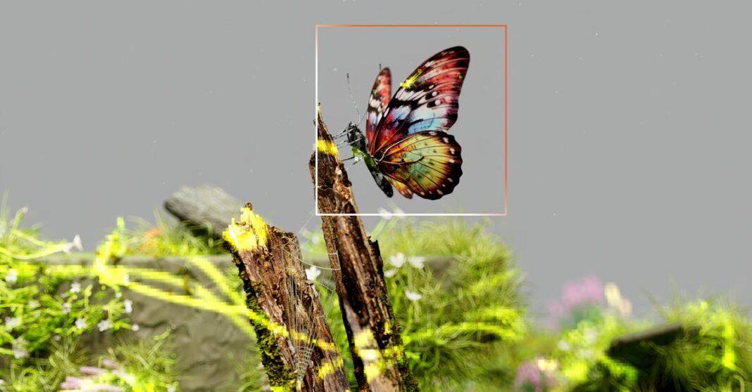 découvrez l'importance des pollinisateurs pour notre écosystème et notre agriculture. apprenez comment ces insectes, oiseaux et autres créatures contribuent à la biodiversité, à la production alimentaire et comment nous pouvons les protéger pour un avenir durable.