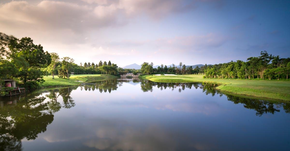 découvrez l'univers fascinant des étangs : leurs écosystèmes, leur biodiversité et comment les entretenir pour profiter de la nature.