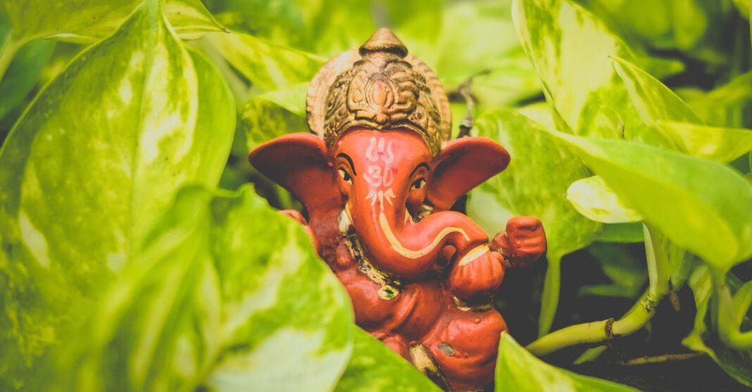 découvrez le pothos, une plante d'intérieur populaire pour sa beauté et sa facilité d'entretien. apprenez à l'aimer et à en prendre soin avec nos conseils pratiques et astuces de culture.